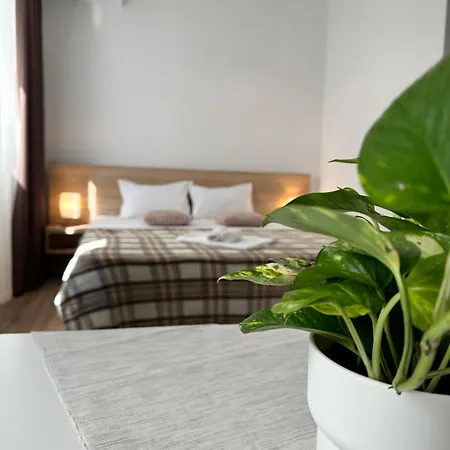 アパートホテル 27 Rent House ブカレスト