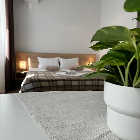 27 Rent House